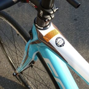 FOCUS 取扱始めました。